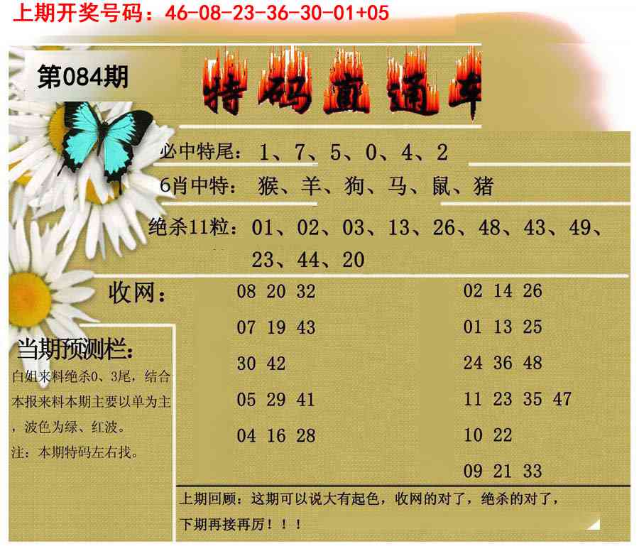 084期特码直通车[图]
